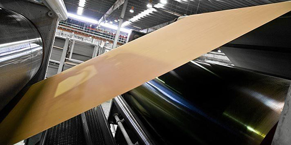 REGIONALSegún ABPO, ventas de corrugado en Brasil aumentarán 3,5% para este año