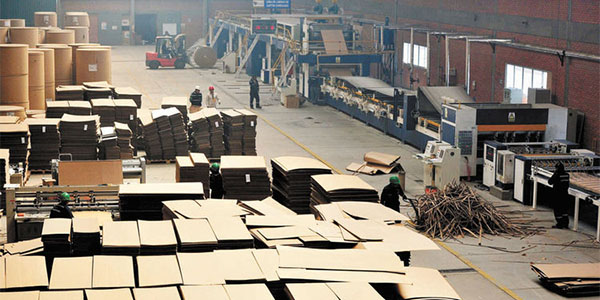 INTERNACIONALEEUU: producción de cajas de cartón corrugado cayó 0,8% en enero