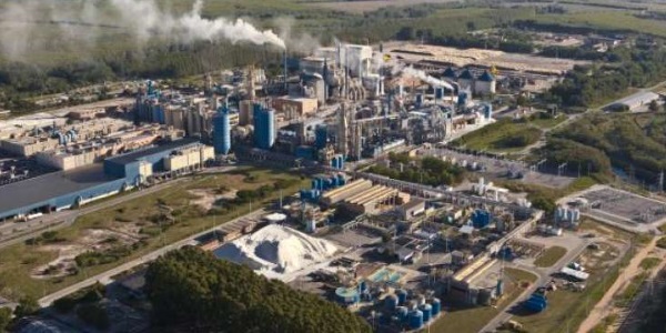 REGIONALBrasil: nace la nueva Suzano, la mayor productora de celulosa del mundo