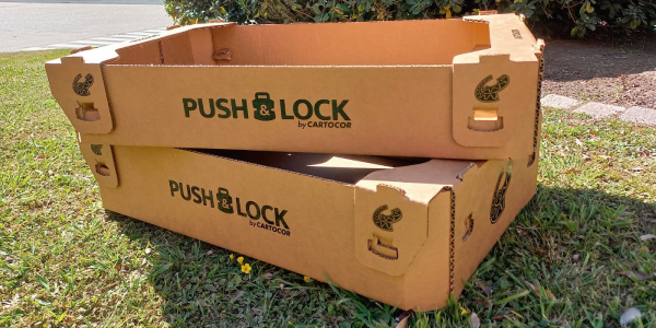 Cartocor lanza sistema PUSH&LOCK® en la Región