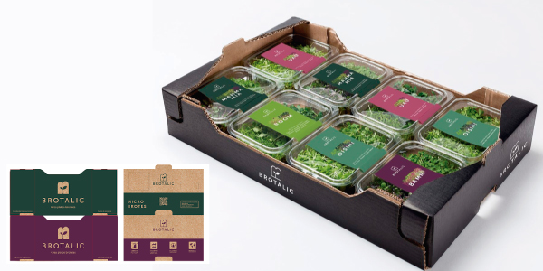Una caja que fusiona diseño, identidad y eficiencia logística