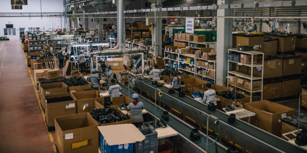 Nueva prórroga del Reglamento Europeo contra la Deforestación (EUDR) y sus implicancias para la industria del cartón corrugado