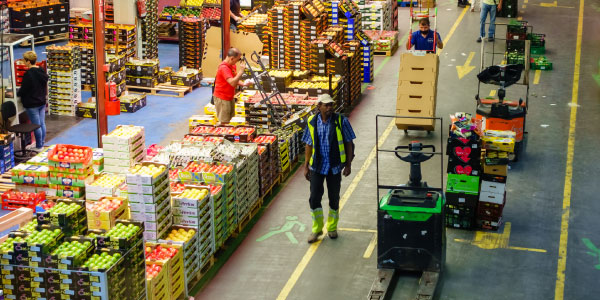 El cartón corrugado, pieza clave del comercio y la logística